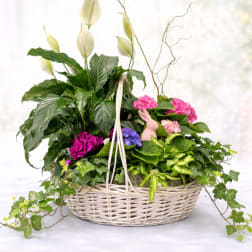 Springtime garden basket it's