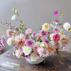 Sucre (Gallery Photo)