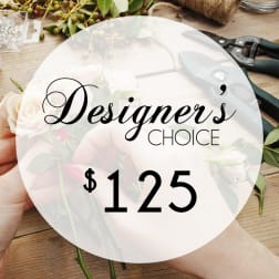 Designer's Choice-Premium