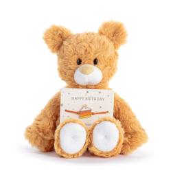 Plush- Happy Birthday Orange Bear 8"