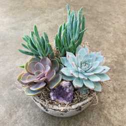 Succulent arrangement in a shallow bowl with a purple crystal accent