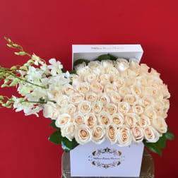 Cream roses arranged in a white box with white orchids