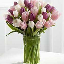 Mixed Tulips colors will vary