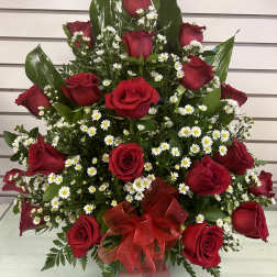 18 Roses Front Facing/18 Rosas de un Frente