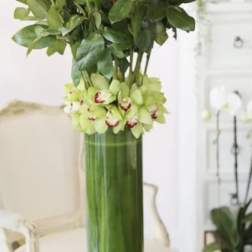 Tall vase arrangement of red roses and green orchids