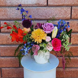 Organic Wild & Cheery