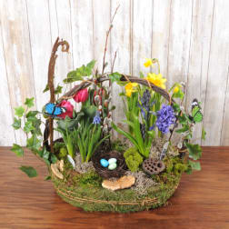 Oval moss basket garden with spring bulbs, butterflies, and a small bird nest with eggs