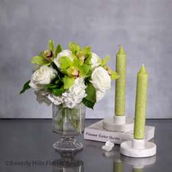 Designers Choice - WHITE AND GREEN