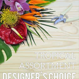 Tropical floral assortment with orchids, anthurium, and bird of paradise blooms