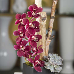 Magenta orchids and a pale succulent in a black square planter