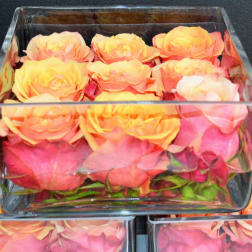 Pink and peach roses arranged in clear square glass boxes