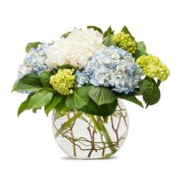 Lush Hydrangea in clear class