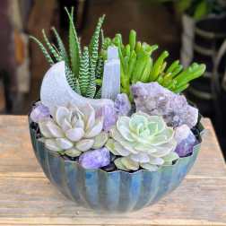 Succulent arrangement in a blue bowl with purple crystals