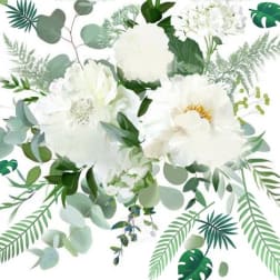 White flowers with assorted green foliage on a white background