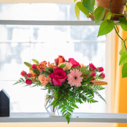 The Fishbowl of Beauty - BBC