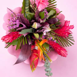 Tropical bouquet with pink and red flowers on a pink background