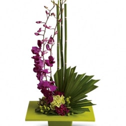 Purple orchid arrangement with bamboo and fan-shaped leaves in a green container