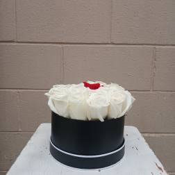 White roses with one red rose in a black round box