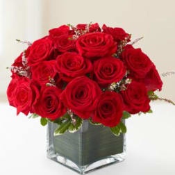 Red roses arranged in a clear square glass vase