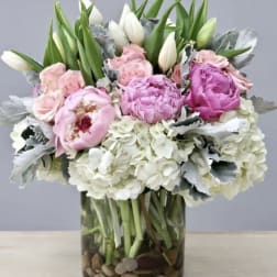 Pink peonies and white tulips in a glass vase with hydrangeas