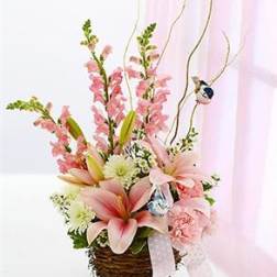 Welcome to the Nest - Baby Girl