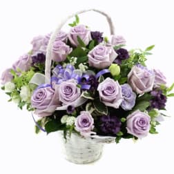 Lavender Rose Basket - 라벤더 장미 바구니