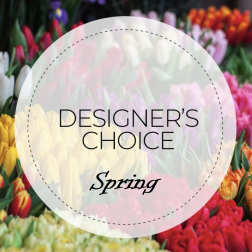 Spring tulips in many colors with a "Designer’s Choice" label