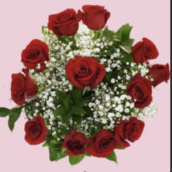 Red roses arranged with white baby's breath on a pink background