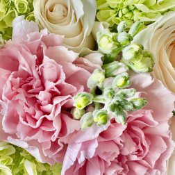 Close-up of pink carnations, cream roses, and green hydrangeas in a soft pastel floral arrangement