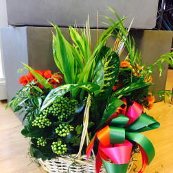 Mixed plant basket with red and orange blooms and a colorful ribbon bow