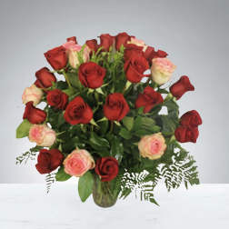 Red & Pink Love by D'Lily's Flowers