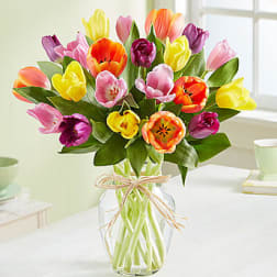 Colorful tulip bouquet in a clear glass vase