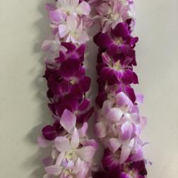 purple lei