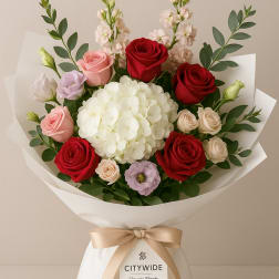 Bouquet of red and pink roses with white hydrangea in white wrap