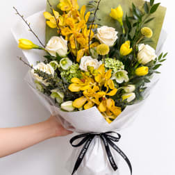 Golden Orchid Sunshine