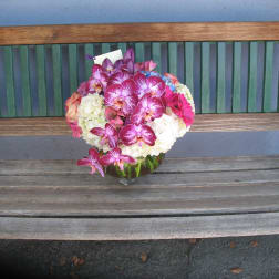 Orchids Hydrangeas #20