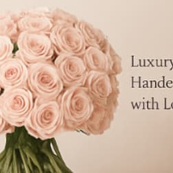 Large bouquet of pale pink roses against a plain background