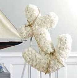 SF21-12 - John Henry Sympathy