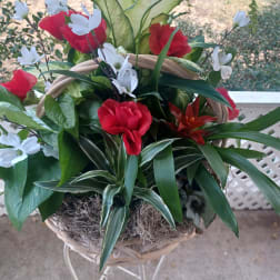 Basket arrangement with red and white flowers and mixed foliage