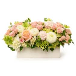 Low pastel arrangement of peach roses, white ranunculus, and green hydrangeas in a white rectangular container