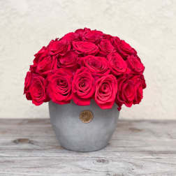 Round bouquet of bright pink roses in a gray vase