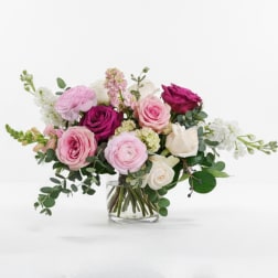 Only room for blooms