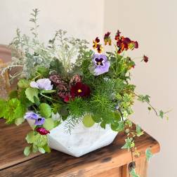 Seasonal Flower Garden