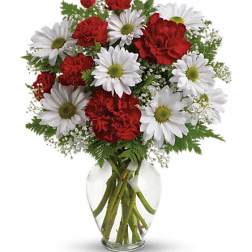 Red carnations and white daisies in a clear glass vase