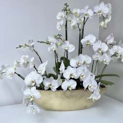 White orchids arranged in a shallow gold bowl
