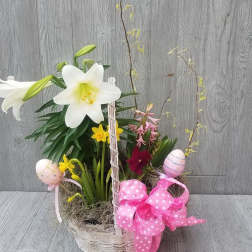 Blooming Bulb Basket