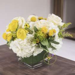 Honeybee by BloomNation™