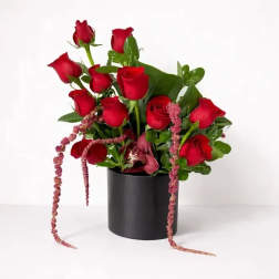 Red roses arranged in a black cylindrical vase with trailing pink accents