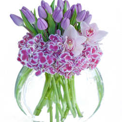Purple tulips and pink orchids in a clear glass vase