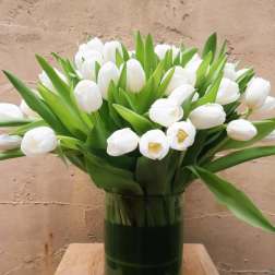 White tulips arranged in a clear glass vase